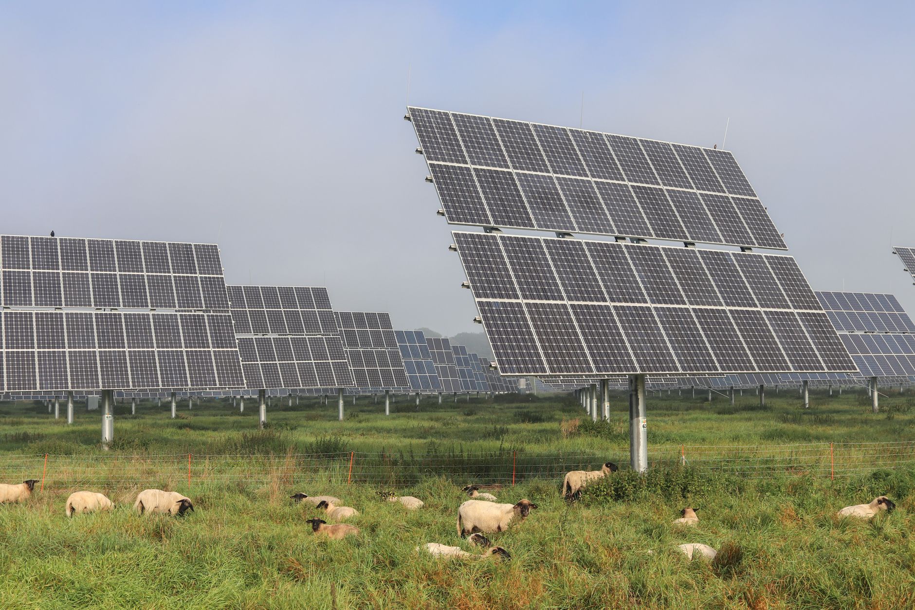 Solare e terreni agricoli USA: solo lo 0,07%, meno di golf e sprawl Solare e terreni agricoli USA: solo lo 0,07%, meno di golf e sprawl